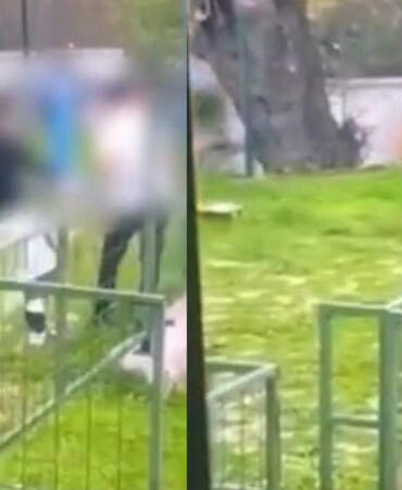 Bodrum’da Parkta Akran Zorbalığı! Darp Ederek Bayılttı