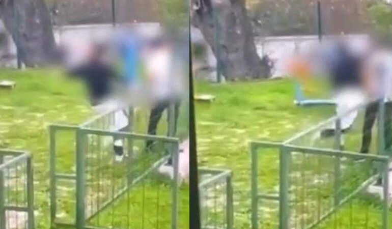 Bodrum’da Parkta Akran Zorbalığı! Darp Ederek Bayılttı