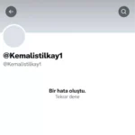 FETÖ’nün 385 Sosyal Medya Hesabına Erişim Engeli