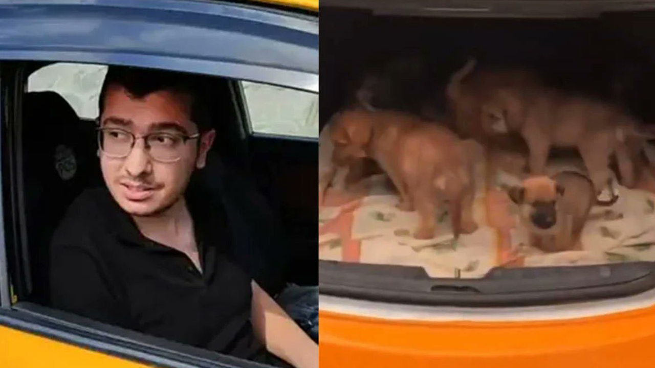 Hayvan Katili Doktora Ödül Gibi Ceza