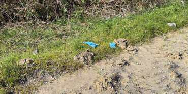 İstanbul’da Vahşet! Kayıp Olarak Aranıyordu, Çinli İş İnsanı Toprağa Gömülü Bulundu
