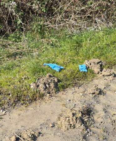 İstanbul’da Vahşet! Kayıp Olarak Aranıyordu, Çinli İş İnsanı Toprağa Gömülü Bulundu