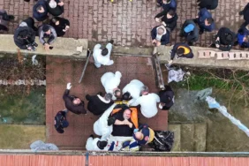 Fil Hastalığına Yakalanan Engin Akbadal Tedaviye Sevk Edildi