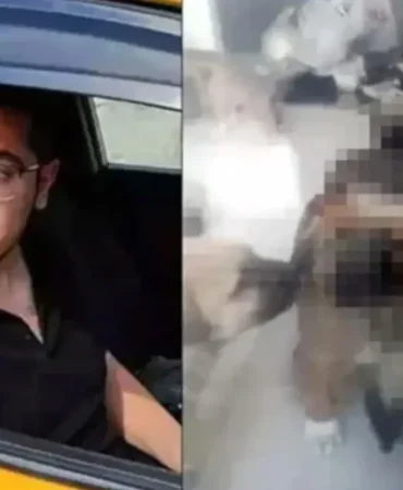 Köpeklere yaptıkları kan dondurmuştu! Sapık doktorun cezası düşürüldü