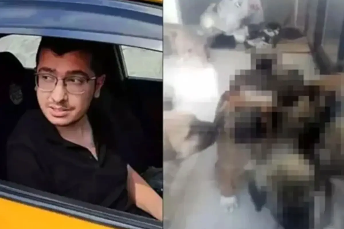 Köpeklere yaptıkları kan dondurmuştu! Sapık doktorun cezası düşürüldü