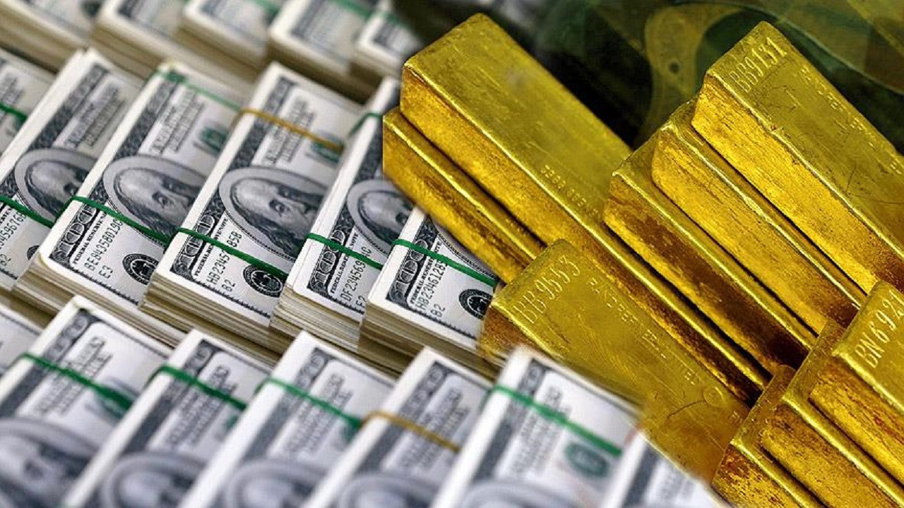 Merkez Bankası Rezervlerinde Rekor Serisi