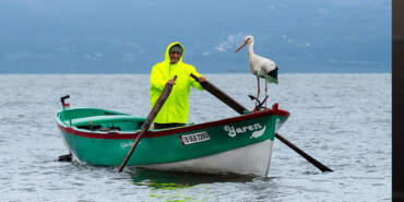 Türkiye’nin Merakla Beklediği Haber Geldi: Yaren Leylek ile Adem Amca 15. Yılda da Bir Arada