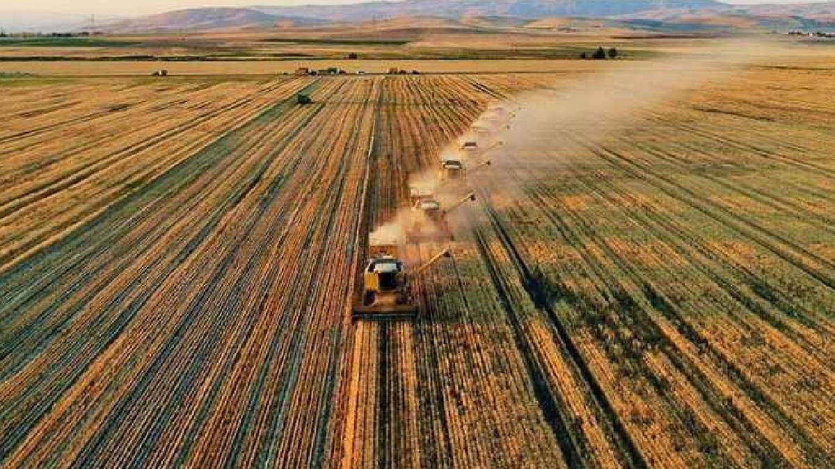 Tarım ÜFE Şubat’ta yıllık 40,1 arttı