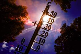 Meteoroloji: Son 56 yılın en sıcak 3’üncü şubat ayı yaşandı