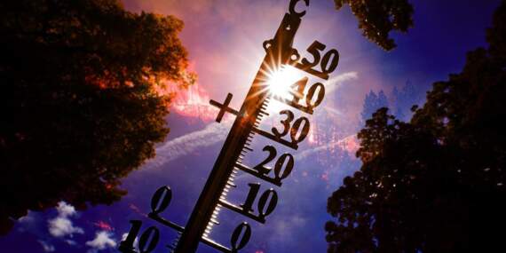 Meteoroloji: Son 56 yılın en sıcak 3’üncü şubat ayı yaşandı