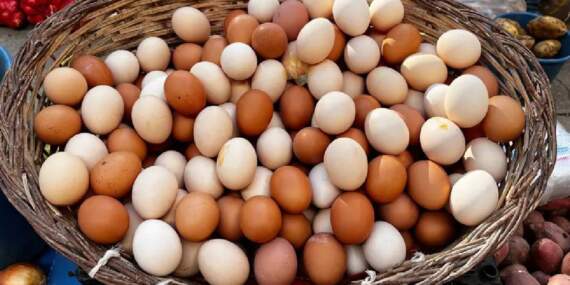 Yumurta satışında yeni dönem: Haftalık üst sınır 2 bin 100 adet