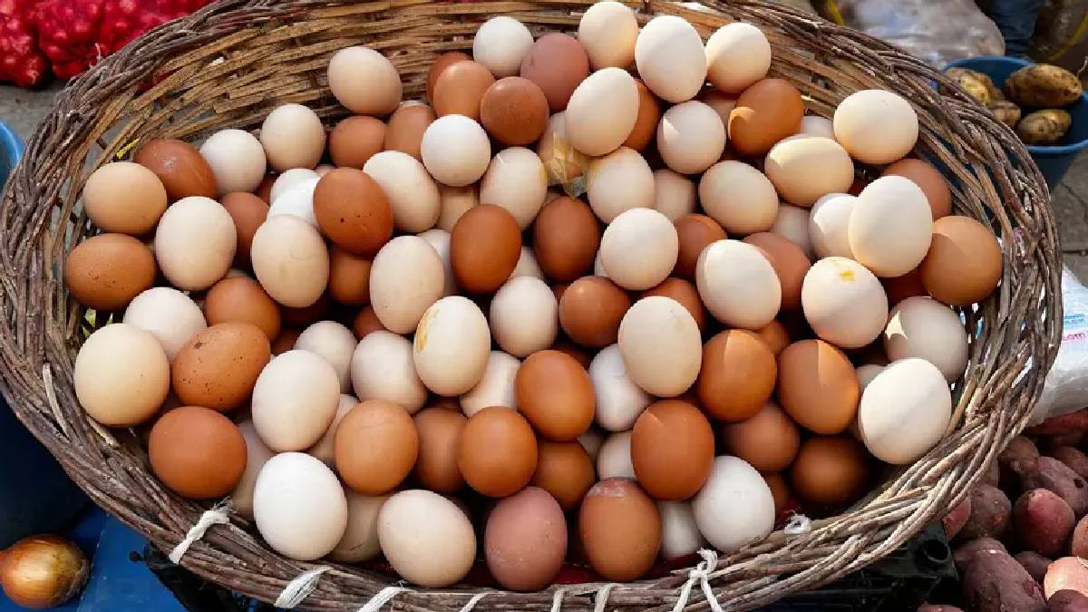 Yumurta satışında yeni dönem: Haftalık üst sınır 2 bin 100 adet
