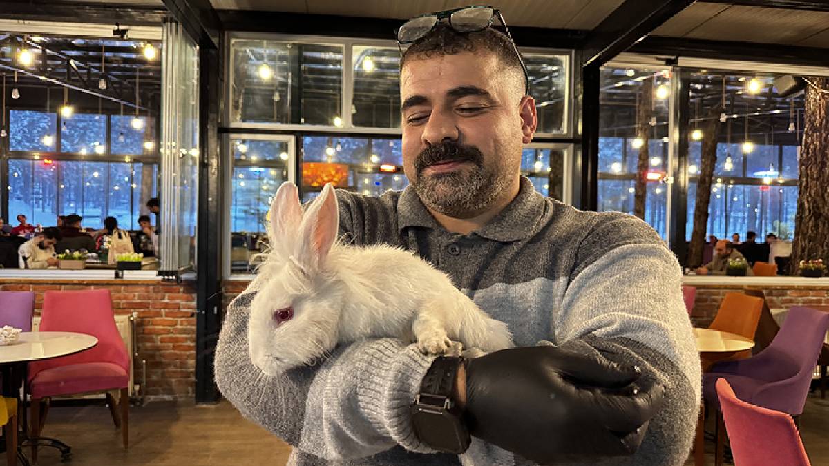 Kedinin ağzından alındı, kısa zamanda toparladı! Şimdilerde kafenin en sevilen üyesi…