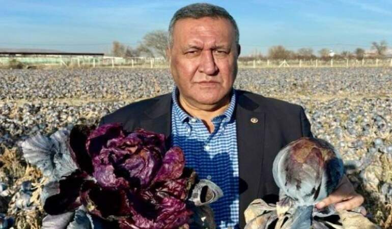 Tarlada çöküş, rafta yangın: “2025 tarımda ‘kayıp yıl’ oldu, faturayı vatandaş ödüyor”