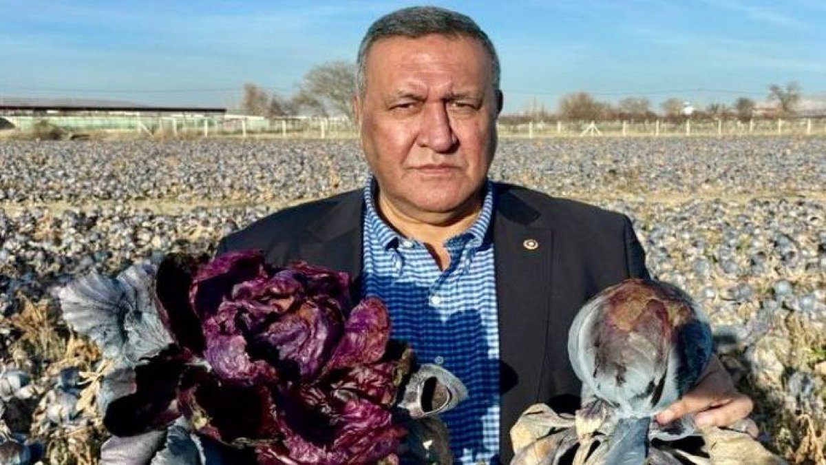 Tarlada çöküş, rafta yangın: “2025 tarımda ‘kayıp yıl’ oldu, faturayı vatandaş ödüyor”