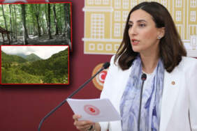 CHP’li Rızvanoğlu’ndan ‘Orman Kanunu’na tepki: Bir gecede 4,7 milyon metrekare orman arsa oldu