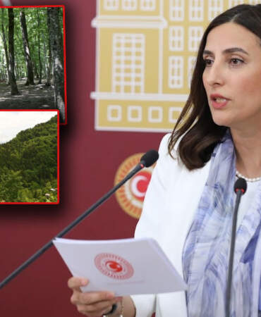 CHP’li Rızvanoğlu’ndan ‘Orman Kanunu’na tepki: Bir gecede 4,7 milyon metrekare orman arsa oldu