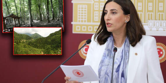 CHP’li Rızvanoğlu’ndan ‘Orman Kanunu’na tepki: Bir gecede 4,7 milyon metrekare orman arsa oldu