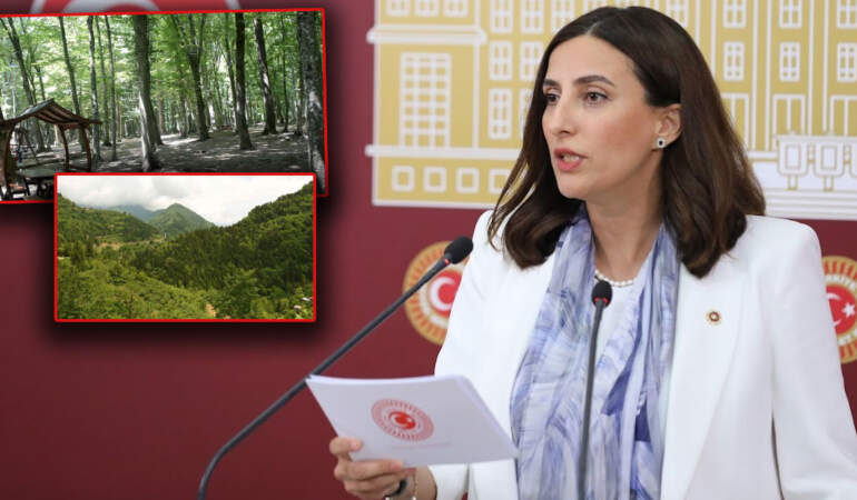 CHP’li Rızvanoğlu’ndan ‘Orman Kanunu’na tepki: Bir gecede 4,7 milyon metrekare orman arsa oldu
