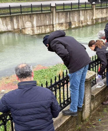 Uludere Çayı’nda binlerce ölü balık bulundu
