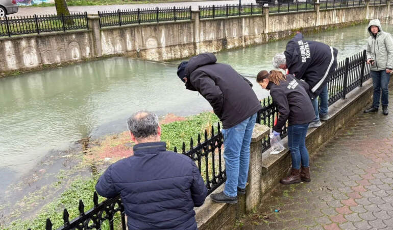 Uludere Çayı’nda binlerce ölü balık bulundu