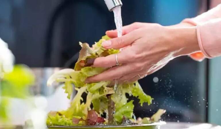 Marullarınız buzdolabında solup gitmesin! Marul nasıl uzun süre saklanır? Ufak tüyoyla daha uzun taze kalacak