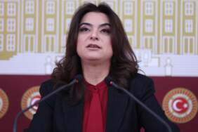 DEM Parti’li Koçyiğit: Süreç yasaları hızla Meclis’e taşınmalı