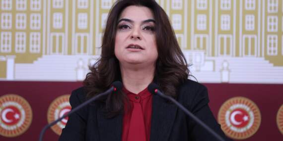 DEM Parti’li Koçyiğit: Süreç yasaları hızla Meclis’e taşınmalı