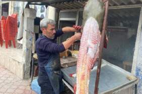 Osmaniye’de tutuldu 2 metrelik boyuyla şaşırttı! Vatandaşın ilgi odağı oldu