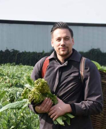 Değeri her geçen gün daha da anlaşılıyor! Karaciğer dostunun tanesi 65 TL’den satılıyor