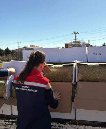 Bayramda vatandaşa yedireceklerdi! 2 ton tehlikeli fıstık yakalandı