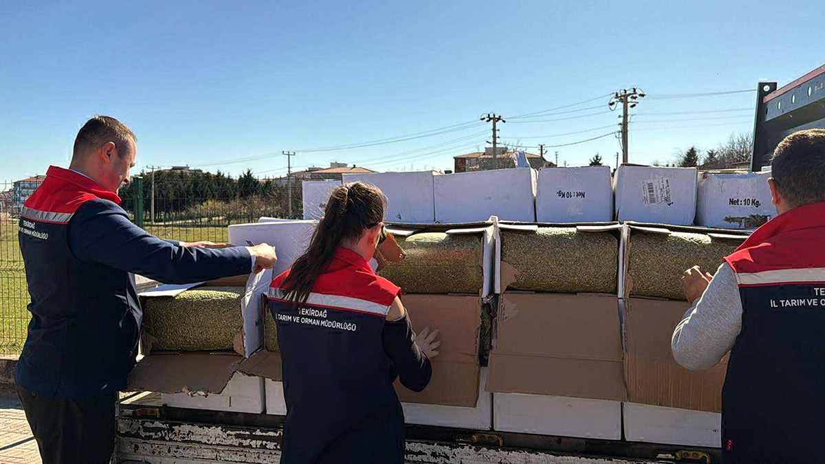 Bayramda vatandaşa yedireceklerdi! 2 ton tehlikeli fıstık yakalandı