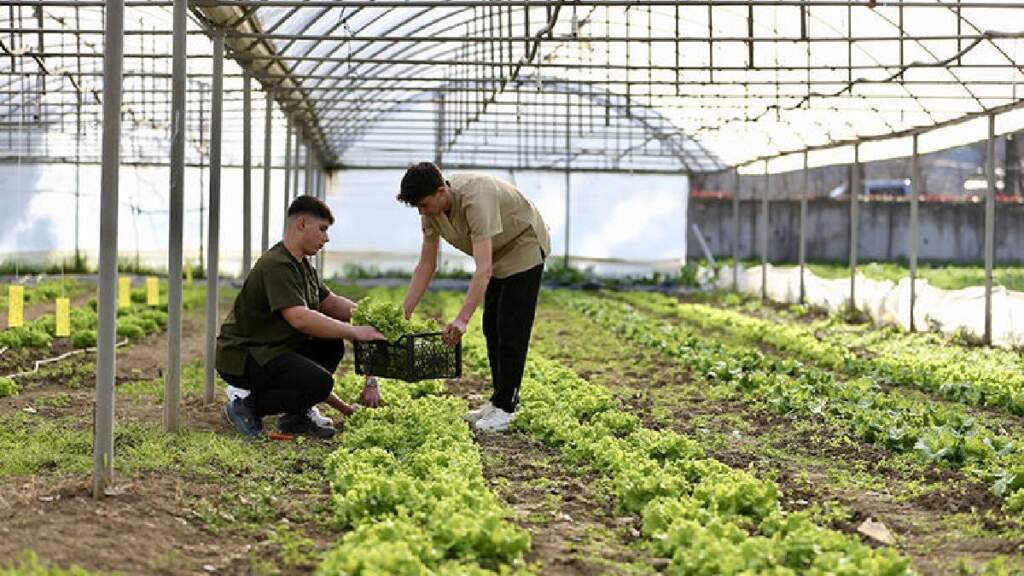 featured