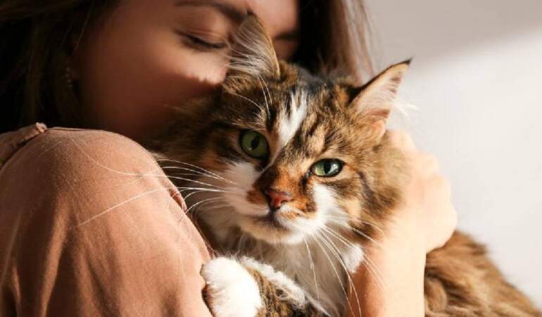 Kedi sahiplerini üzecek araştırma: Kediniz size gerçekten bağlı mı yoksa çıkar mı söz konusu?
