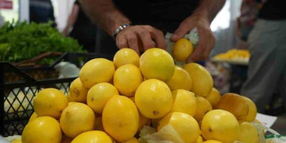 Limonda gümrük vergisi düşürüldü