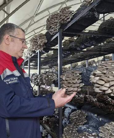 Son teknolojiyle yılda 84 ton üretim yapıyor: Bölgenin önemli gelir kaynağı