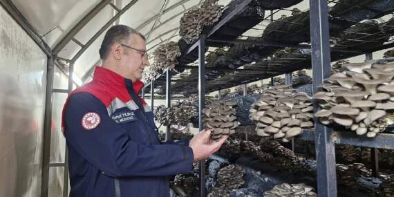 Son teknolojiyle yılda 84 ton üretim yapıyor: Bölgenin önemli gelir kaynağı
