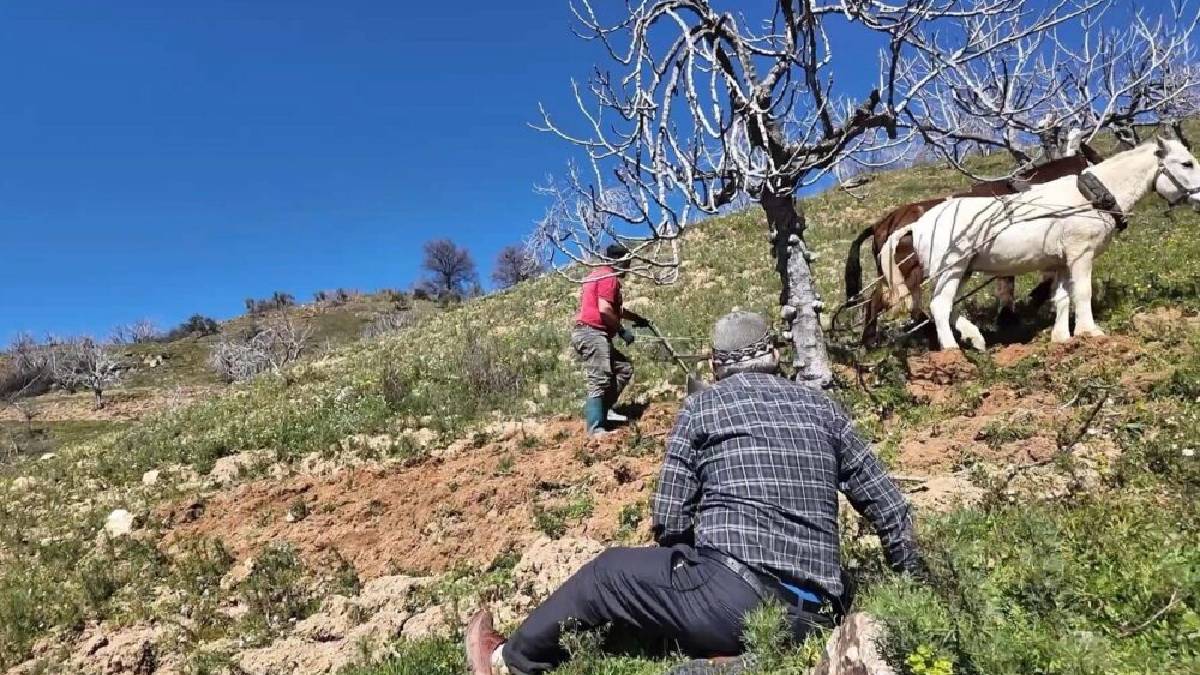 Ayda 240.000 TL kazandırıyor, kimse çalışmıyor: ’20 yıl içerisinde tamamen bitebilir’