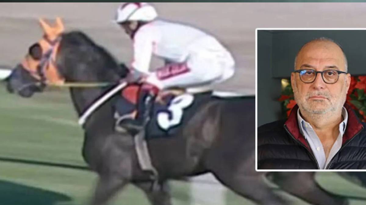 Kavurmanın içinden İngiliz yarış atı çıktı: Sahibine 132 bin lira ceza