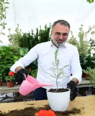 Süs bitkileri dünyaya açılıyor! Kestel Belediyesi üretime destek veriyor