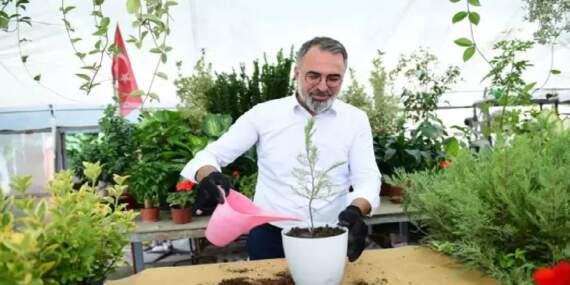 Süs bitkileri dünyaya açılıyor! Kestel Belediyesi üretime destek veriyor