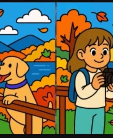 IQ’su 120 ve üzeri olanlar anında fark ediyor! İki resim arasındaki 3 gizli farkı bulabilecek misin?”
