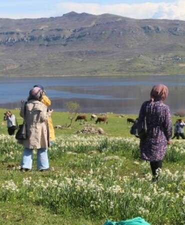 Sadece 2 hafta hayatta kalabiliyor: Görmek için binlerce kişi akın ediyor
