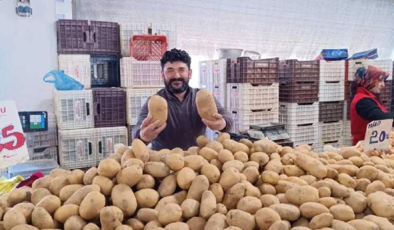 Bir tanesi 850 gram geliyor, 4 kişilik aileyi doyuruyor: Pazarın yeni gözdesi oldu
