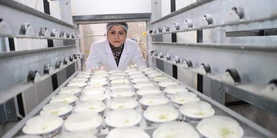 Pazarlamacı olarak başladı 17 yıl sonra tesisini kurdu: Yılda 700 ton üretim yapıyor