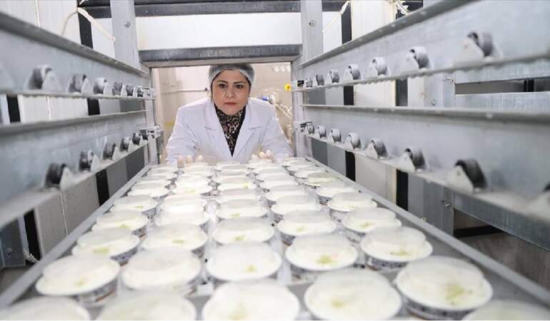 Pazarlamacı olarak başladı 17 yıl sonra tesisini kurdu: Yılda 700 ton üretim yapıyor