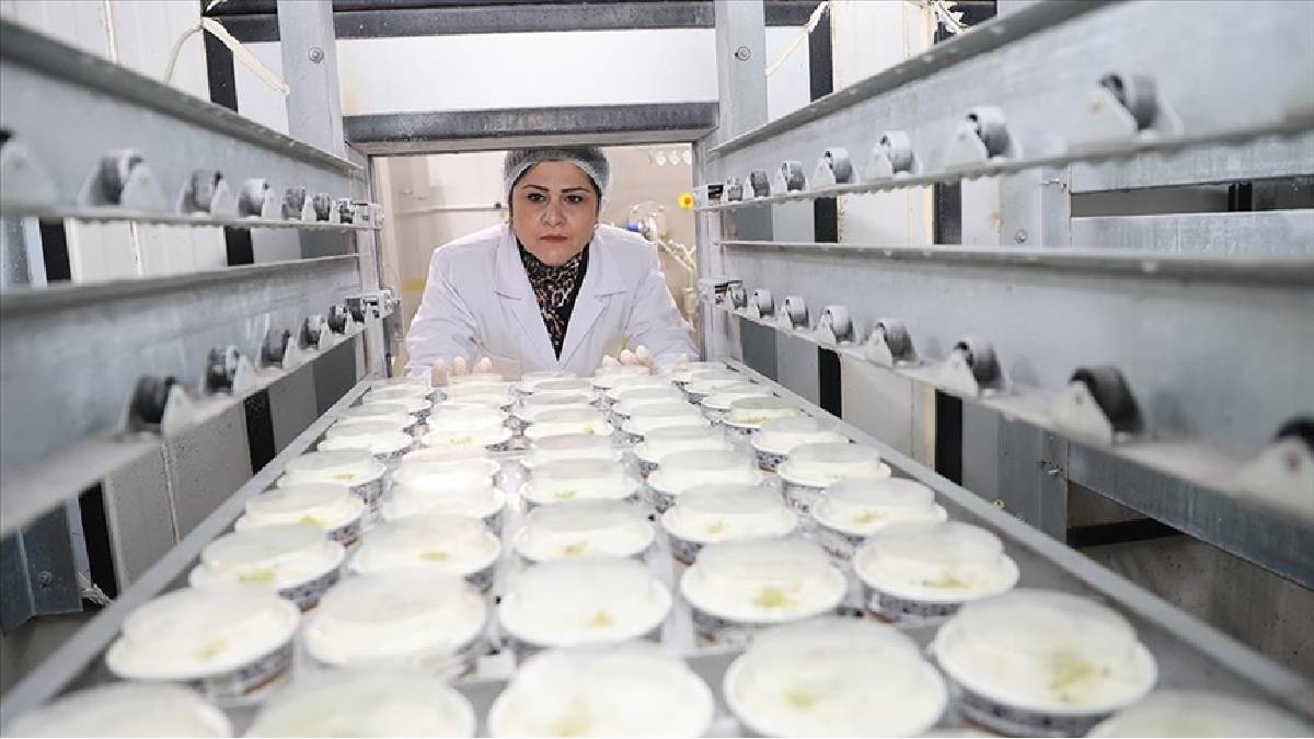 Pazarlamacı olarak başladı 17 yıl sonra tesisini kurdu: Yılda 700 ton üretim yapıyor
