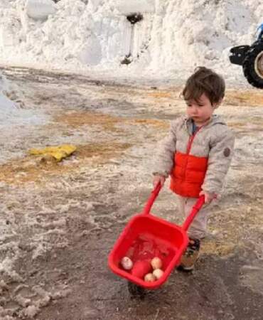Kendi küçük, yaptıkları büyük! 2 yaşındaki küçük Güneş, tavuk yemliyor, süt sağıyor