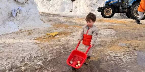 Kendi küçük, yaptıkları büyük! 2 yaşındaki küçük Güneş, tavuk yemliyor, süt sağıyor
