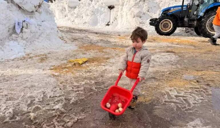 Kendi küçük, yaptıkları büyük! 2 yaşındaki küçük Güneş, tavuk yemliyor, süt sağıyor